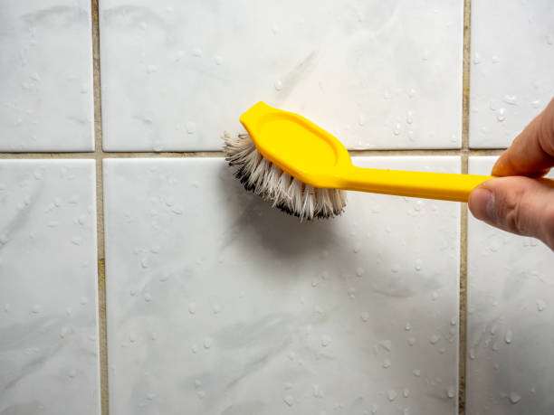 Best Insurance-Related Mold Remediation in Travelers Rest, SC